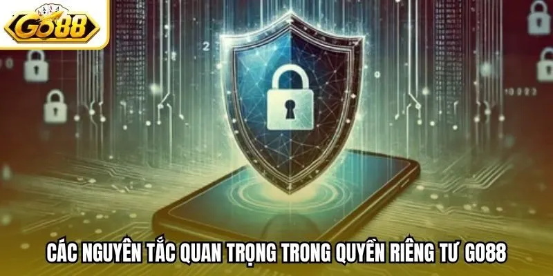 Các nguyên tắc quan trọng trong quyền riêng tư Go88